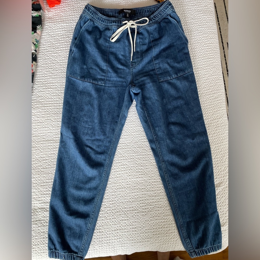Hudson denim joggers